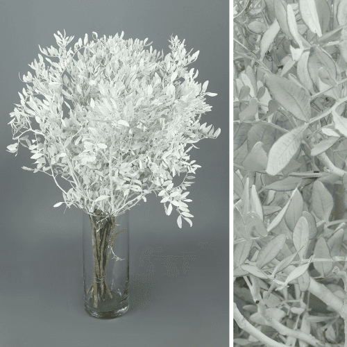 Lentisco Painted Blanco, Blanco, 50cm
