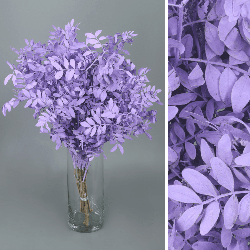 Lentisco Painted Milka, Lavanda, 50cm