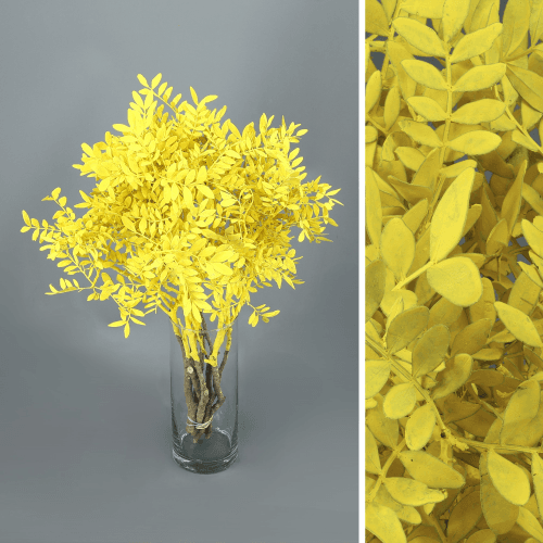 Lentisco Painted Amarillo, Amarillo, 45cm