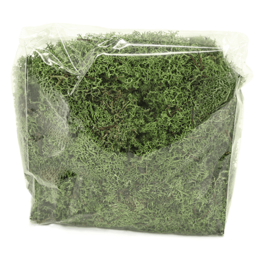 Musgo Icelandic 500 g, Verde
