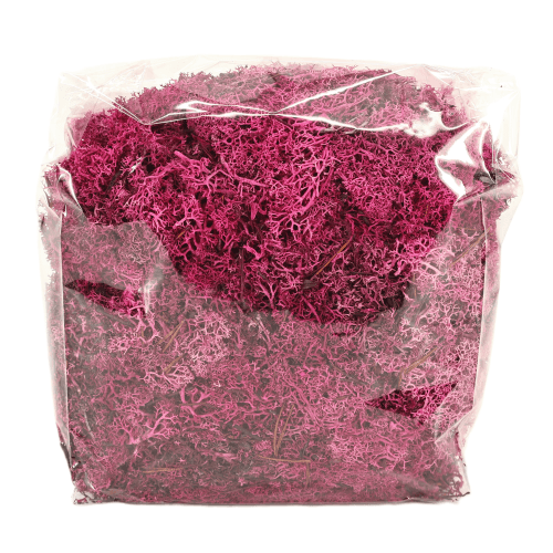 Musgo Icelandic 500 g, Fucsia
