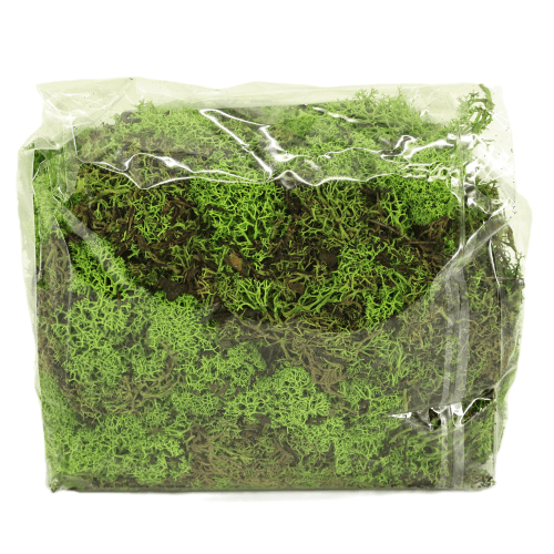Musgo Icelandic 500 g, Verde Pistacho
