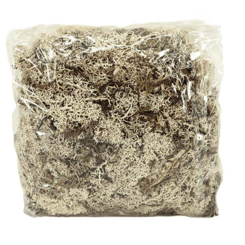 Musgo Icelandic 500 g, Natural