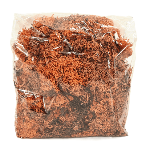 Musgo Icelandic 500 g, Naranja