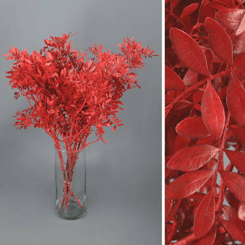 Lentisco Painted Rojo, Rojo, 50cm