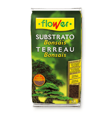 Sustrato Bonsai, Verde, 1 tallos