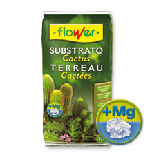 Sustrato Cactus