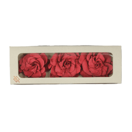 Gardenia Cranberry, Preservado, 3 tallos