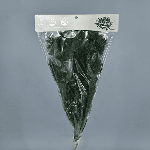 Esparreguera Miroclaudio Verda preservada