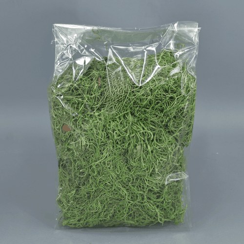Tillandsia seca verde