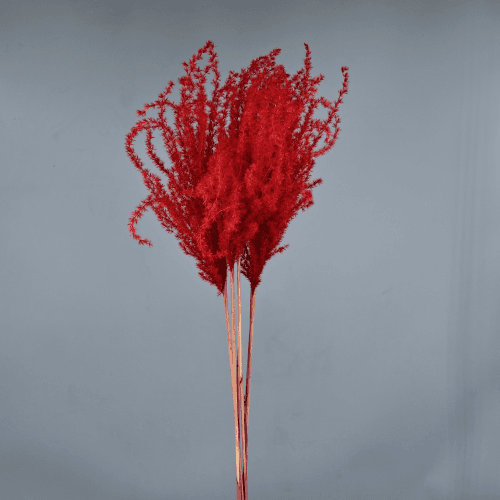 Plumero Rojo 90 cm
