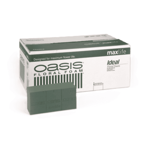Esponja Maxlife, 20, 20 tallos