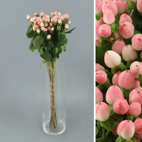 Hyp Coco Casino rosa, Folhagem de 40 cm de comprimento, em molho
