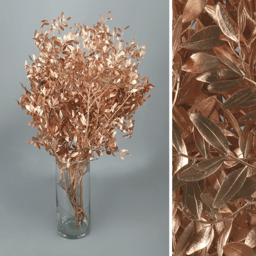 Aroeira pintada cobre, Folhagem de 45 cm de comprimento, em molho
