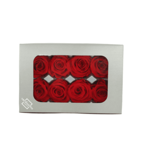 Rosa Rojo Cabeza, Rojo, 8 tallos, 3cm