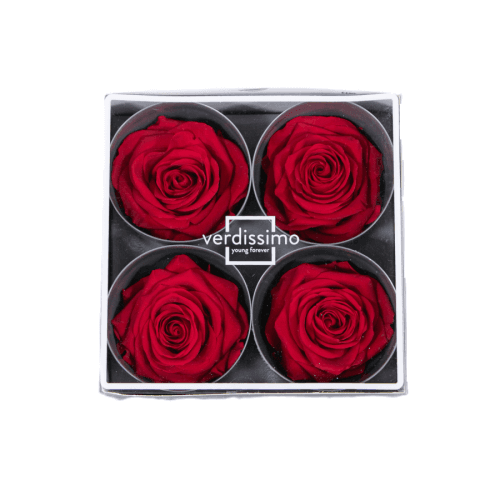 Rosa Rojo Cabeza, Rojo, 4 tallos, 5cm