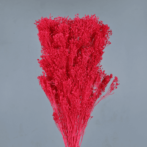 Brooms Fucsia