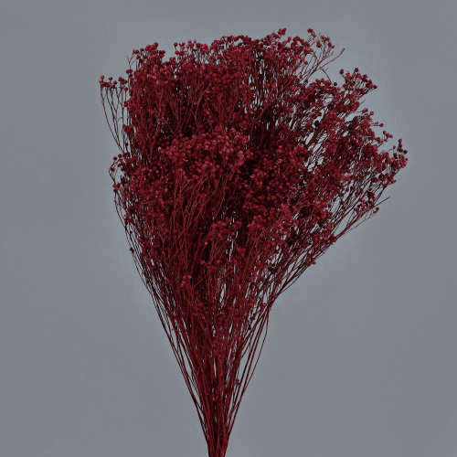 Retama seca cereza
