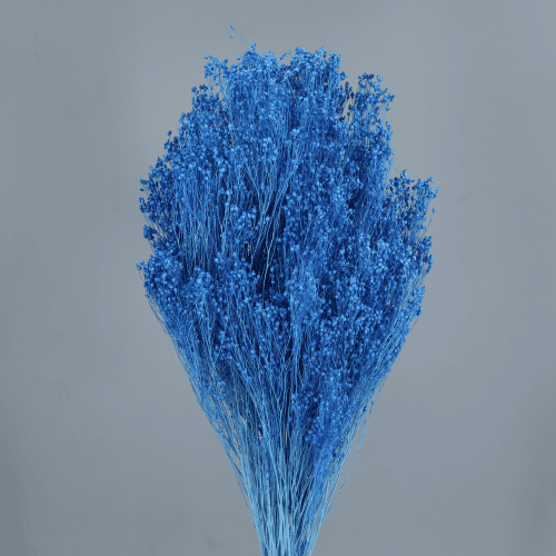 Giesta seca Azul Claro ou morado, Flor seca de 45-55 cm de comprimento