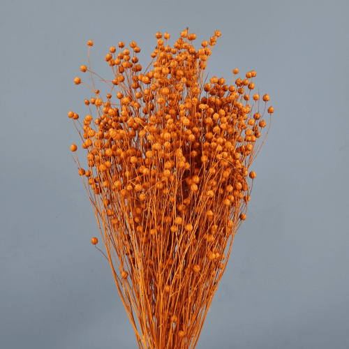 Lino seco Naranja, Flor seca de 50 cm de largo