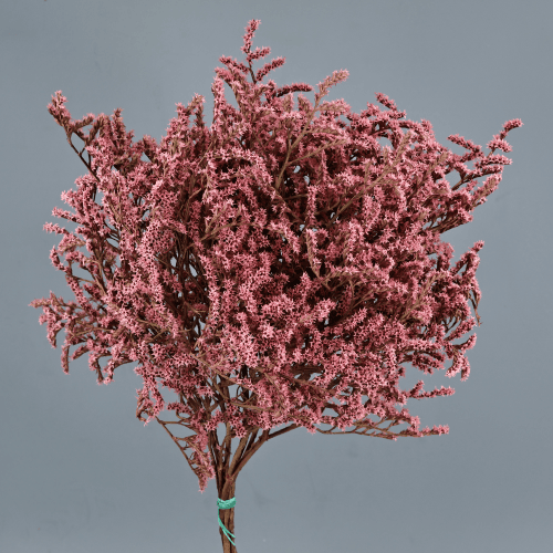 Tatarica preservada Rosa, Flor preservada de 25-30 cm de comprimento