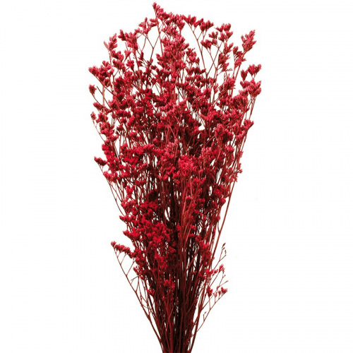 Limonium preservado Fúcsia, Flor preservada de 40-70 cm de comprimento