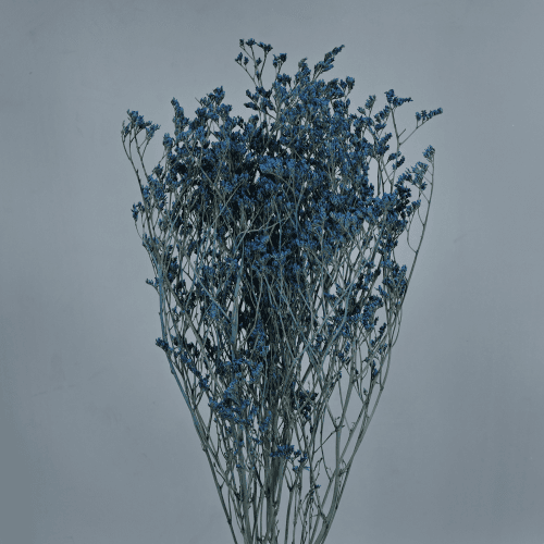 Limonium preservado Azul Claro, Flor preservada de 70 cm de comprimento