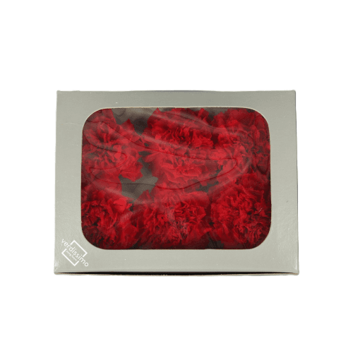 Clavel preservado Rojo