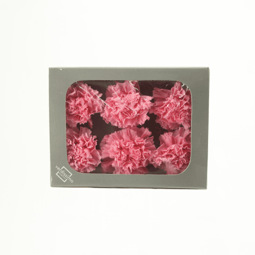 Cravo preservado Rosa