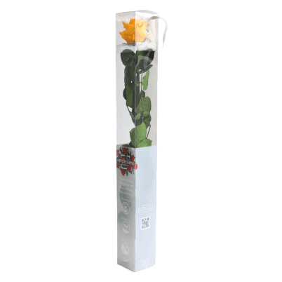 Rosa Amarillo Tallo, Amarillo, 1 tallos, 55cm