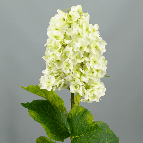 Bouquet de 3 hortensias blancs Microphila Nova (Hydrangea macrophylla), Fleur artificielle de 85 cm de long, lot de 3 unités