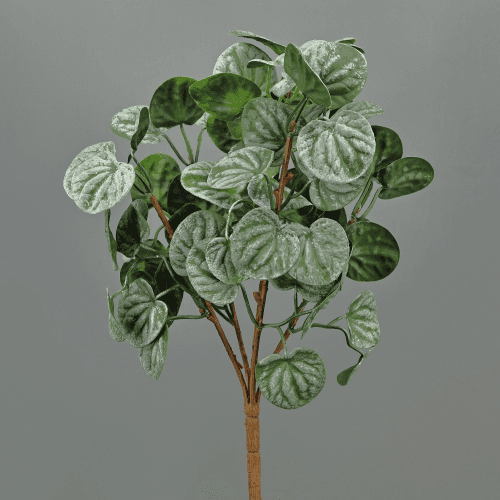 Pack de 2 Peperomia Flora artificiais 33 cm