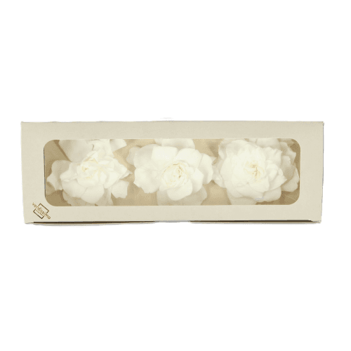 Gardènia preservada Blanca