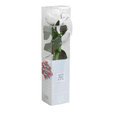 Rosa Blanco Tallo, Blanco, 1 tallos, 27cm