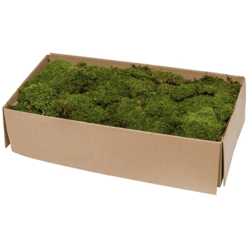 Musgo preservado ignífugo, Flor preservada
