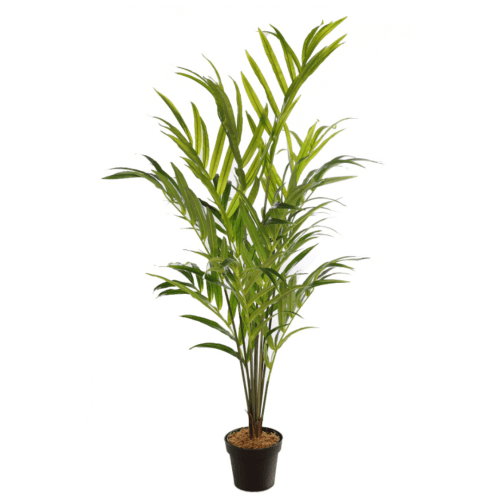 Palmeira Kentia Artificial 1,55m, Flor artificial de 2 cm de comprimento