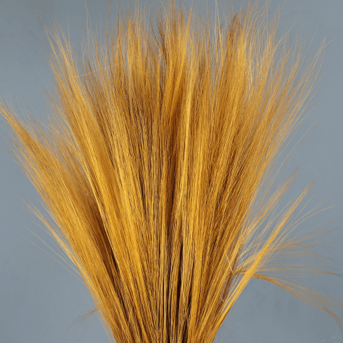 Barba preservada Ocre