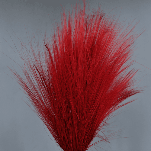 Barba preservada Roja