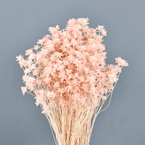 Hill Flower Seca Rosa Claro