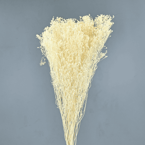 Broom Seco Blanco 55 cm