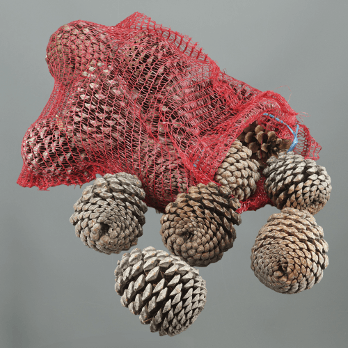 Piña Decorativa Grande Natural, Flor seca de 14-16 cm de largo