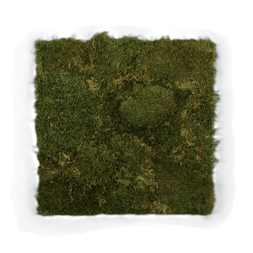 Jardín vertical artificial de musgo, Flor artificial de 50 cm de largo