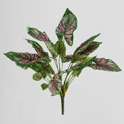 Planta Artificial de Caladium Rosa y Verde