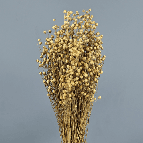 Lin Naturel pour Fleurs Séchées