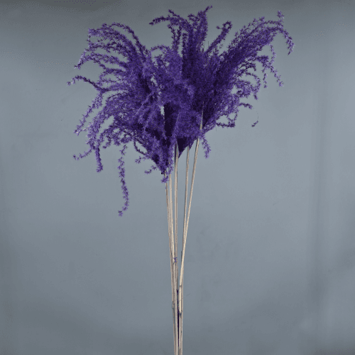 Plumero Miscanthus Morado (5 tallos), Flor preservada de 90 cm de largo
