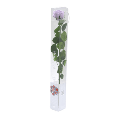 Rosa Lavanda Tallo, Lavanda, 1 tallos, 55cm