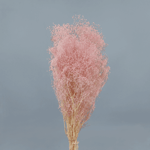 Gipsófila Preservada Rosa Claro, Flor preservada de 40-50 cm de comprimento