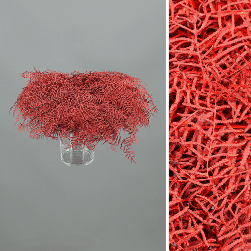 Coral Fern Pintado Rojo