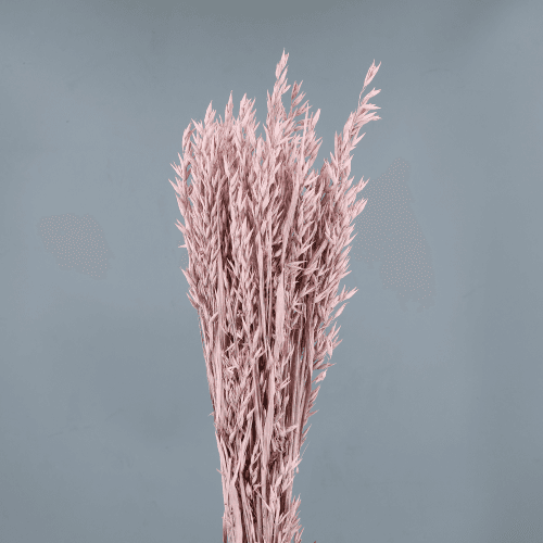 Avea Seca Decorativa Rosa Claro
