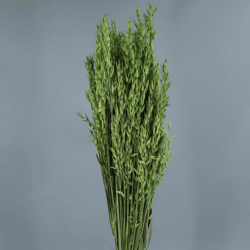 Avea Seca Decorativa Verde Pistacho